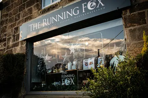The Running Fox photo 1